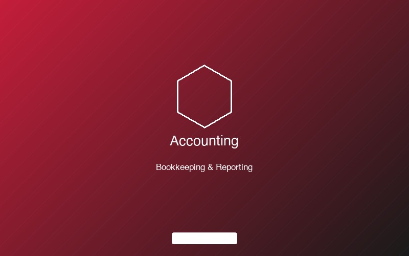 Professional accounting and bookkeeping services