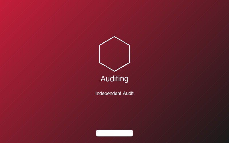 Independent auditing services