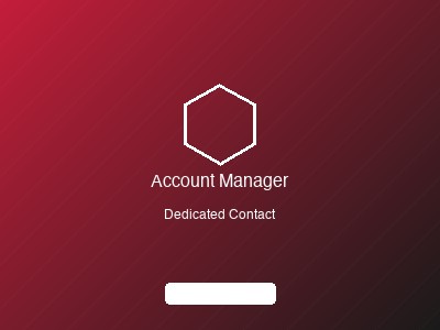 Dedicated account manager